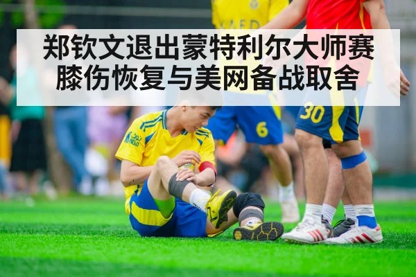 tennis player knee injury
