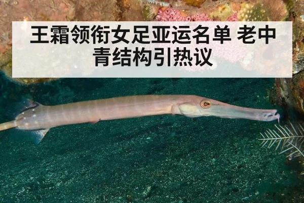 王霜领衔女足亚运名单 老中青结构引热议